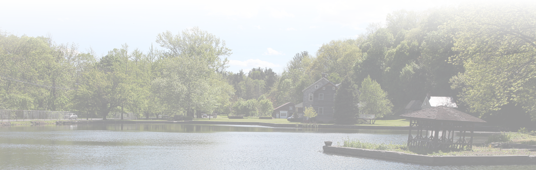 view in Whitehall Township